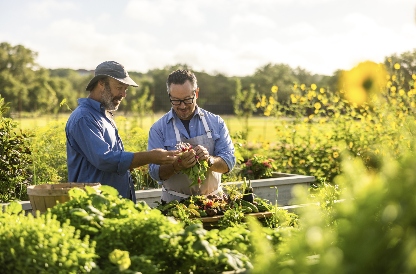 Organic farm in austin